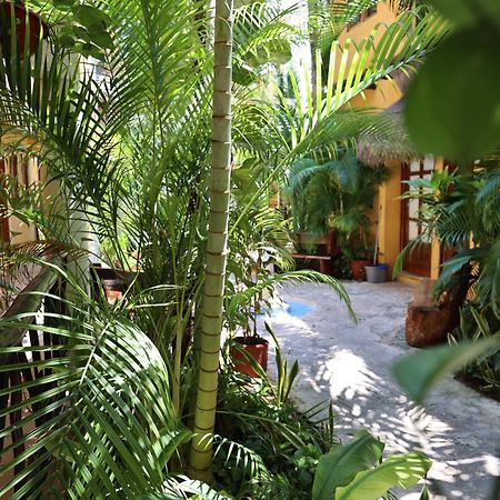Hotel Bosque Caribe, 5Th Av. Zone ปลายาเดลการ์เมน ภายนอก รูปภาพ