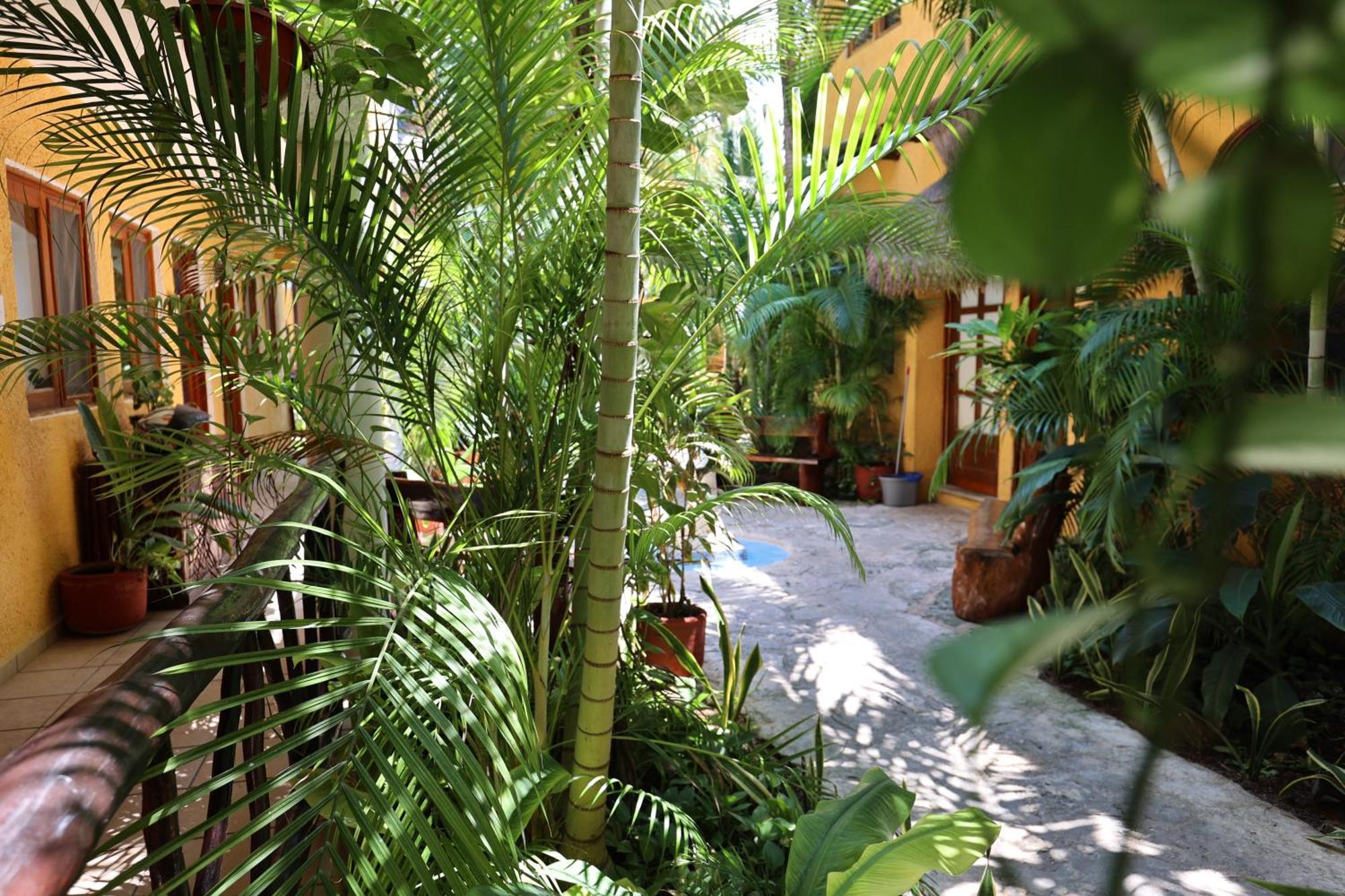 Hotel Bosque Caribe, 5Th Av. Zone ปลายาเดลการ์เมน ภายนอก รูปภาพ